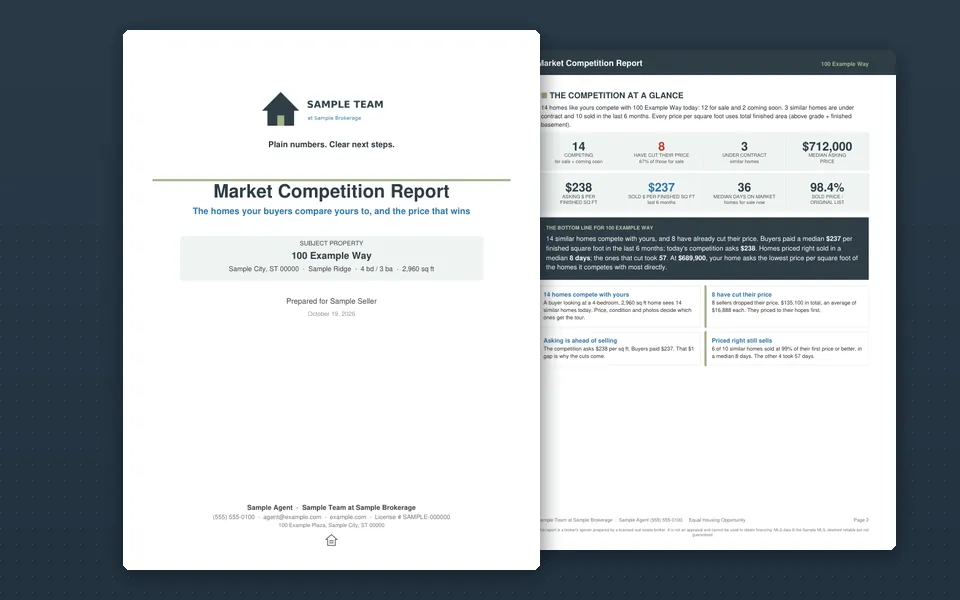 Market Competition Report™: pages from a sample report we built